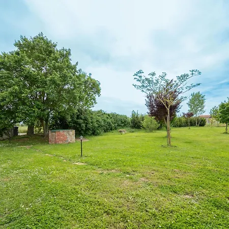 Il Grifone-3 By Interhome Apartment Cortona